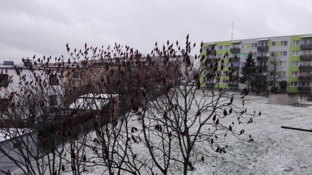 Pierwszy śnieg na osiedlu