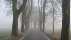 Zdjęcie do artykułu: Mgły, mżawka i do 13°C. Prognoza IMGW na czwartek i piątek, w nocy ostrzeżenie